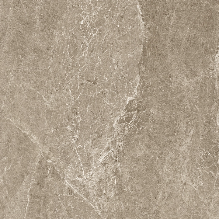 Cotto D'este Advantage Skin Greige naturalna 100x100 cm gr. 4 mm